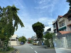 Opera Estate (D15), Detached #602083891